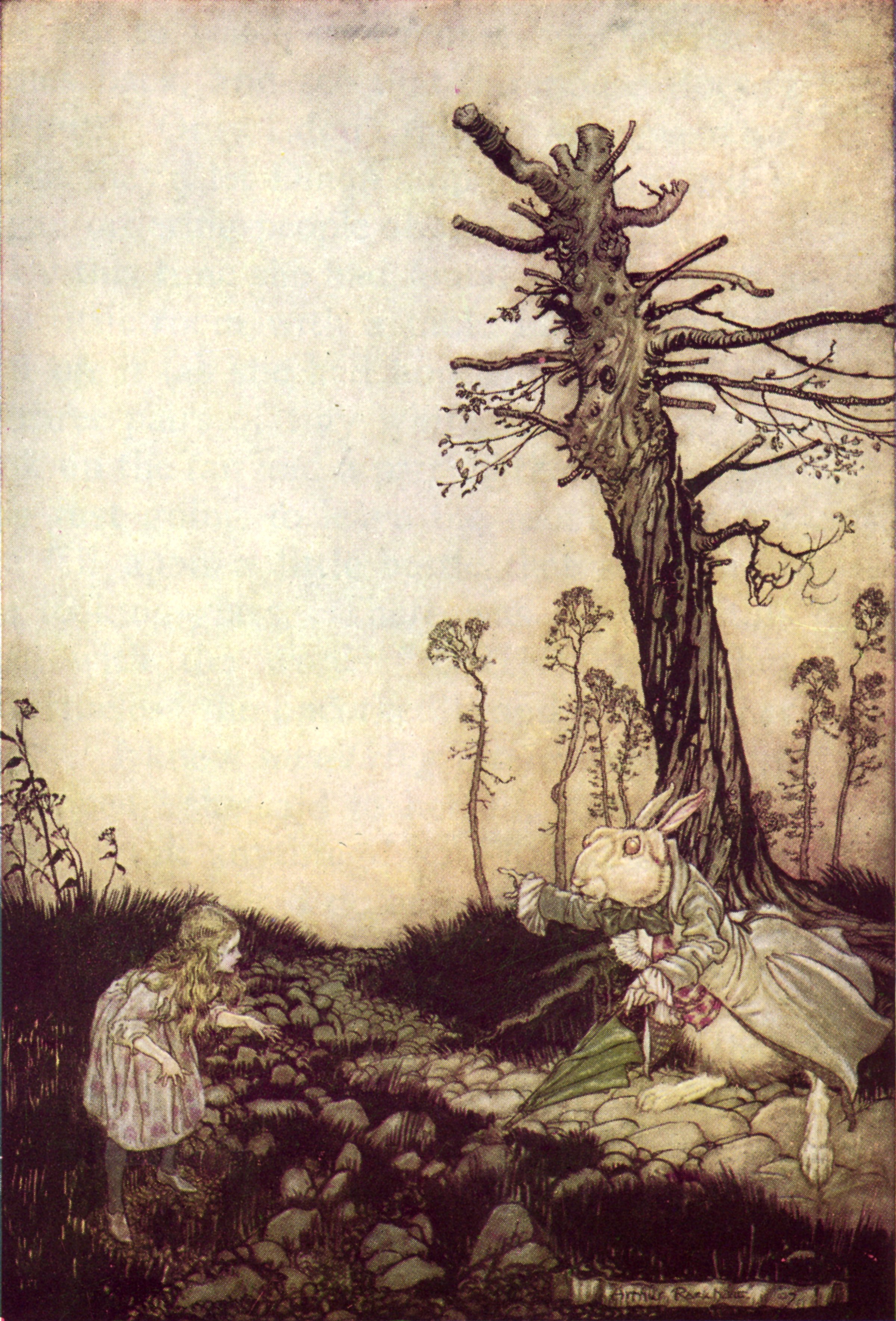 Arthur Rackham — White Rabbit