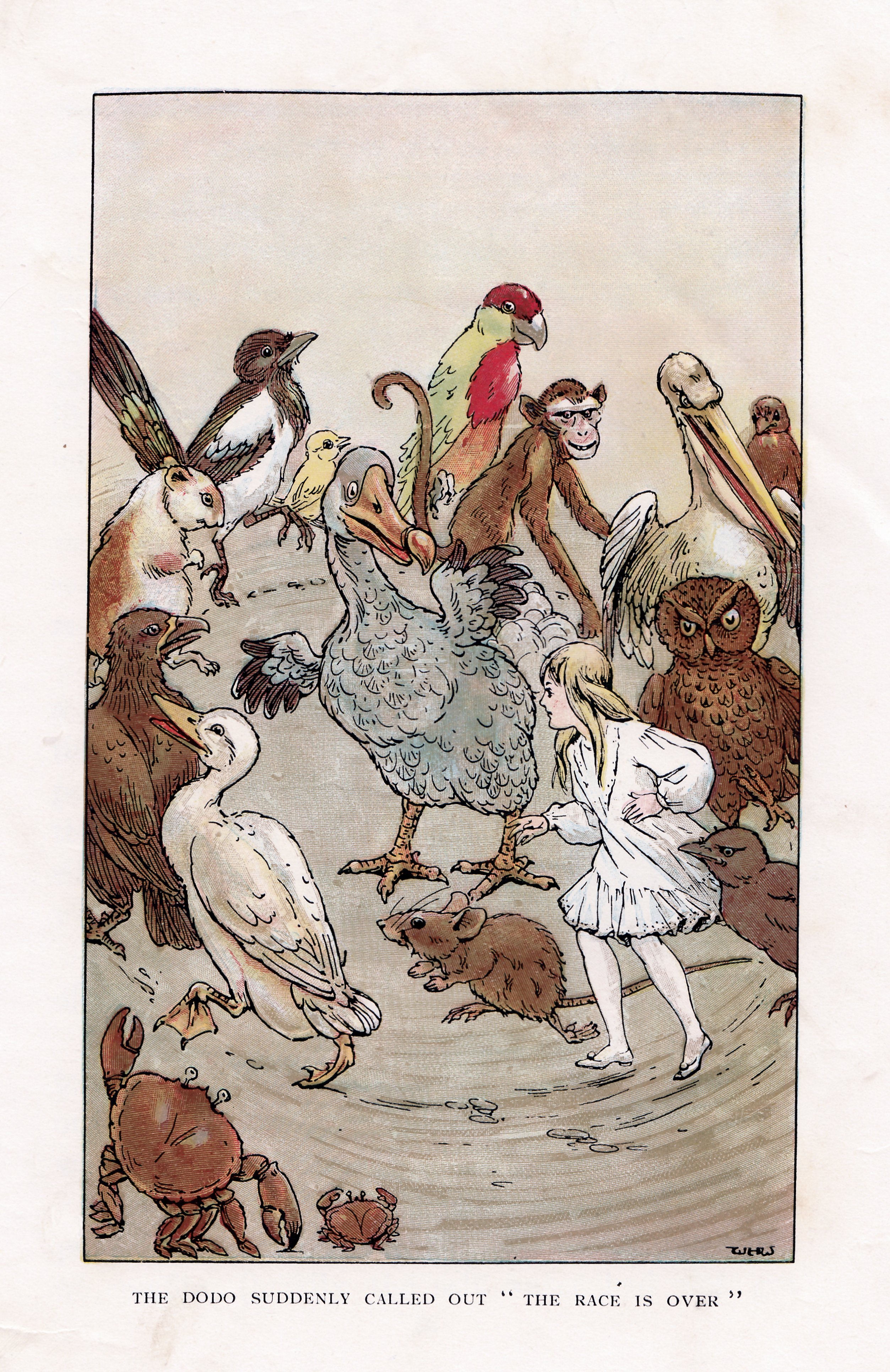 William H. Walker — Dodo