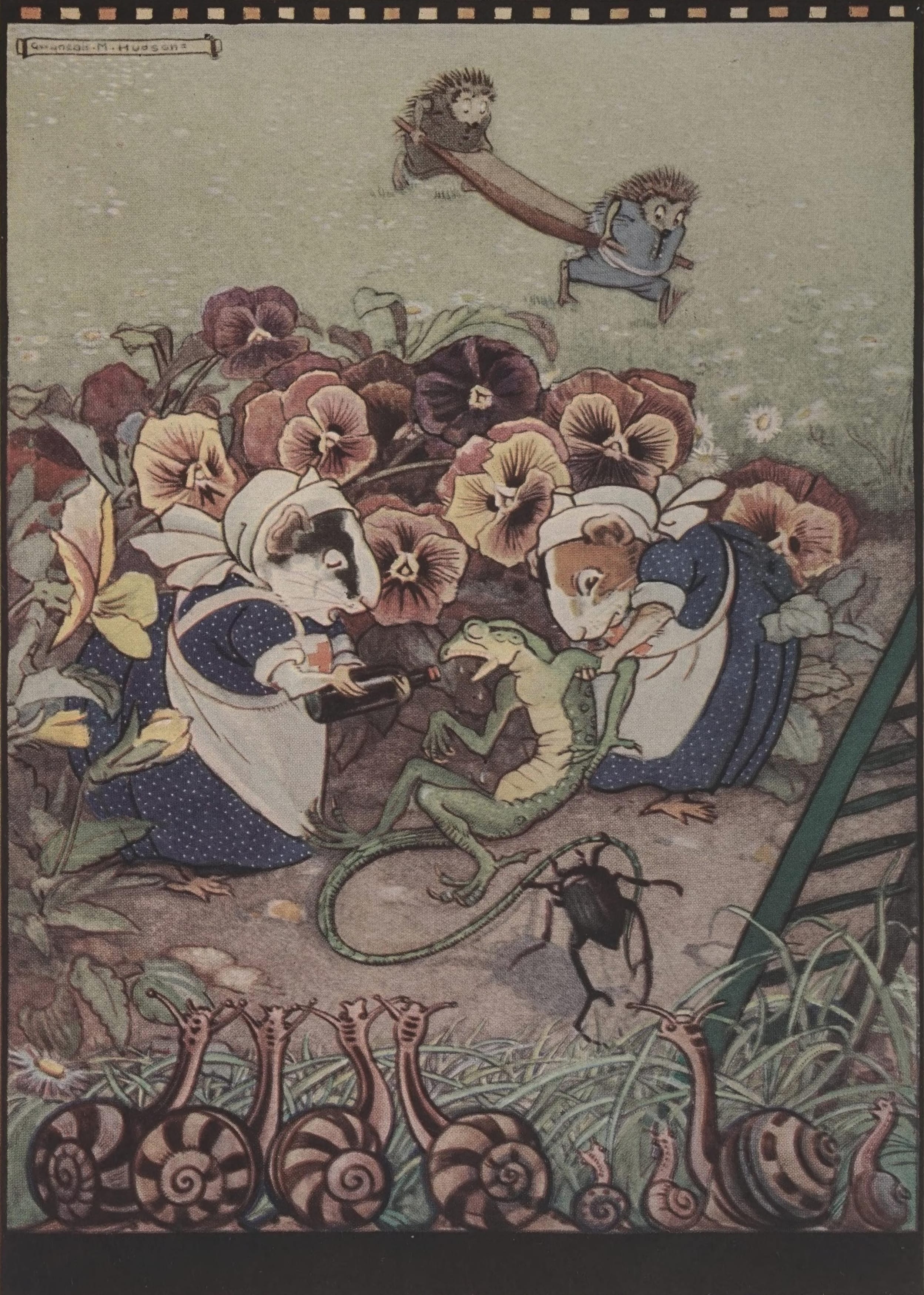 Gwynedd Hudson — Poor little lizard